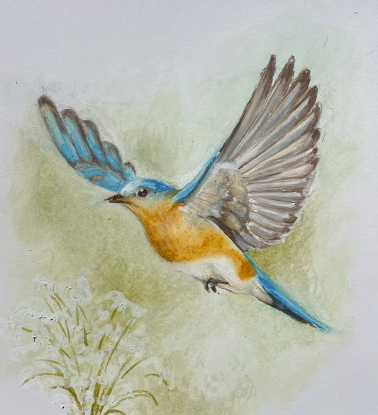 Bluebird